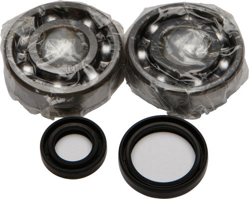 ALL BALLS Crankshaft Bearing & Seal Kit - 24-1016