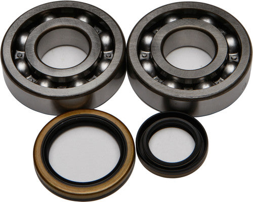 ALL BALLS Crankshaft Bearing & Seal Kit - 24-1021