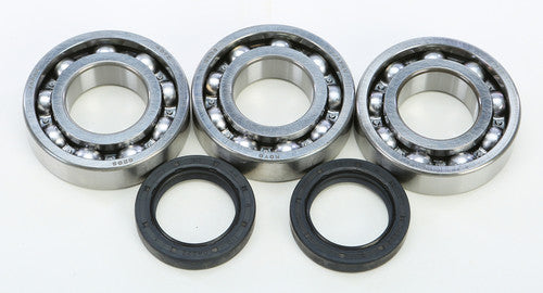 ALL BALLS Crankshaft Bearing & Seal Kit - 24-1077