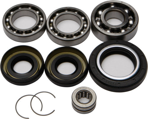 ALL BALLS Differential Bearing & Seal Kit - 25-2001