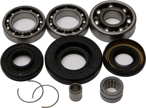 ALL BALLS Differential Bearing & Seal Kit - 25-2003