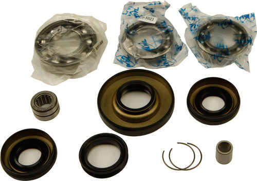 ALL BALLS Differential Bearing & Seal Kit - 25-2006