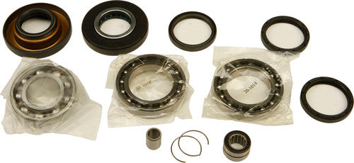 ALL BALLS Differential Bearing & Seal Kit - 25-2009