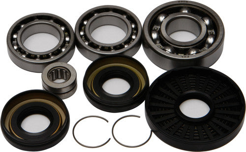 ALL BALLS Differential Bearing & Seal Kit - 25-2016