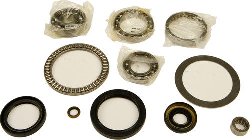 ALL BALLS Differential Bearing & Seal Kit - 25-2066