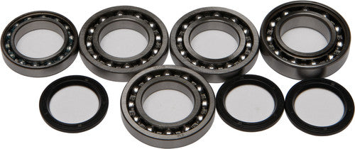 ALL BALLS Differential Bearing & Seal Kit - 25-2077