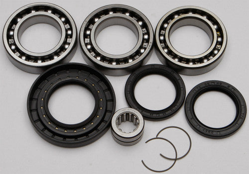 ALL BALLS Differential Bearing & Seal Kit - 25-2079