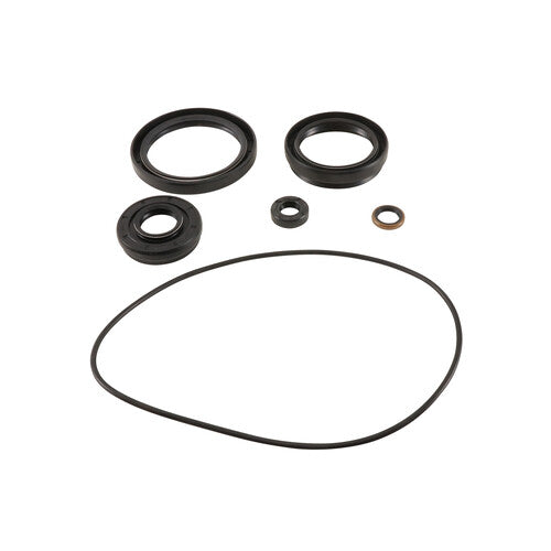 ALL BALLS Differential Seal Kit - 25-2120-5