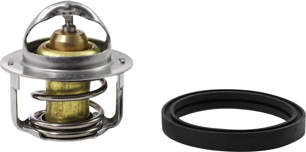 ALL BALLS Replacement Thermostat - Polaris 1902-1705