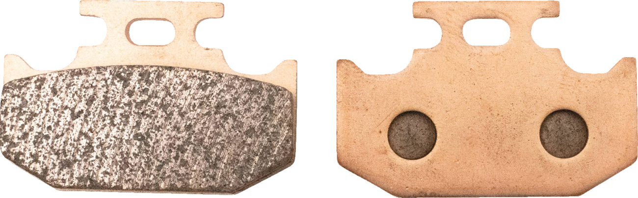 ALL BALLS Sintered Brake Pads - Rear 1721-3249