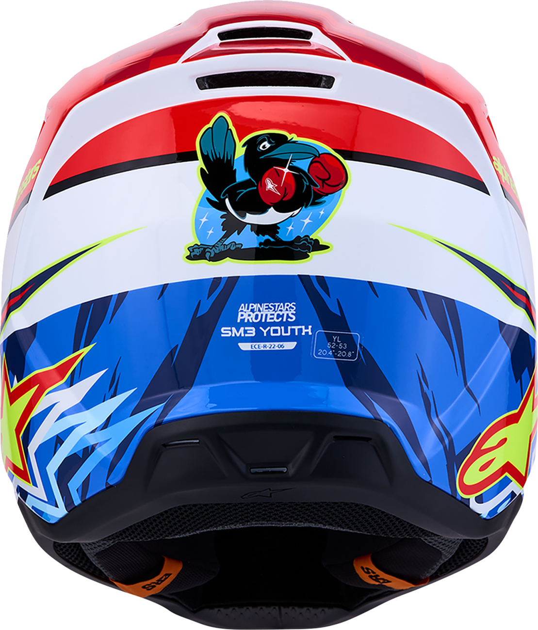 ALPINESTARS Youth SM3 Falcon Helmet