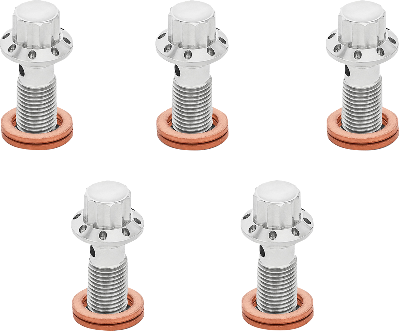 ARLEN NESS Banjo Bolt 5-Pack - M10x1.25 / Polished 1742-0794