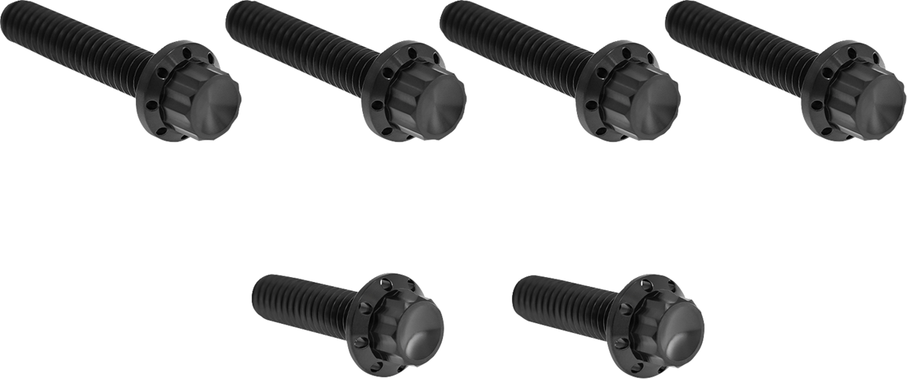 ARLEN NESS Bolt Kit - Cable Clutch / Titanium / 12-Point / M8/Twin Cam / Black 2401-1813