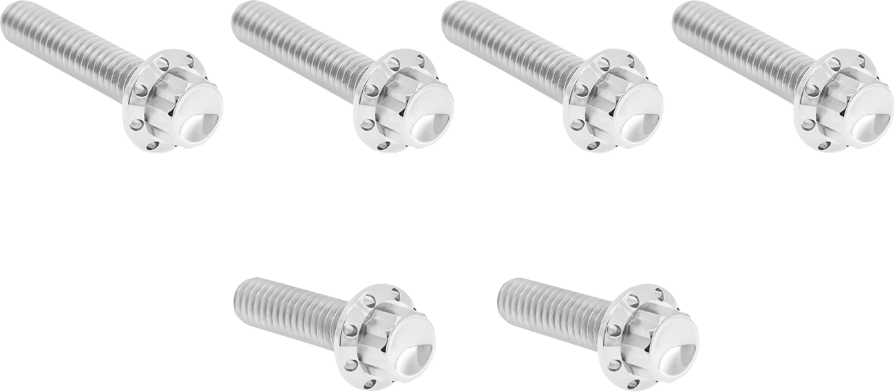 ARLEN NESS Bolt Kit - Cable Clutch / Titanium / 12-Point / M8/Twin Cam / Polished 2401-1811