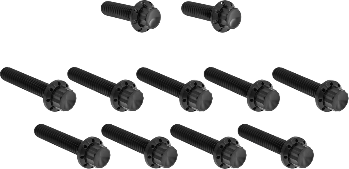ARLEN NESS Bolt Kit - Cam Cover/Point Cover / Titanium / 12-Point / Black 2401-1759