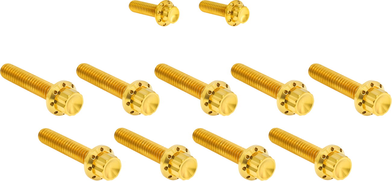 ARLEN NESS Bolt Kit - Cam Cover/Point Cover / Titanium / 12-Point / Gold 2401-1736