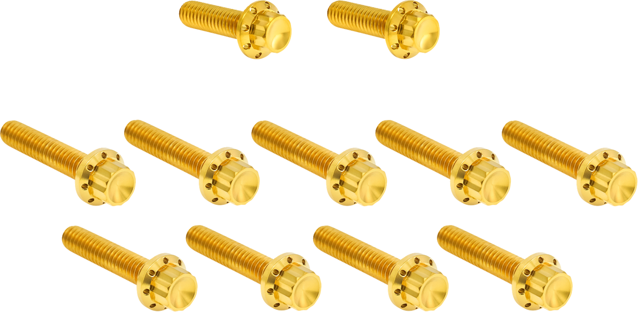 ARLEN NESS Bolt Kit - Cam Cover/Point Cover / Titanium / 12-Point / Gold 2401-1760