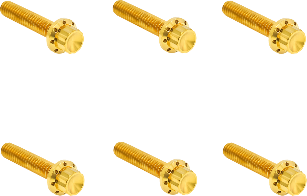 ARLEN NESS Bolt Kit - Clutch Cover / Titanium / 12-Point / M8 Gen 2 / Gold 2401-1810