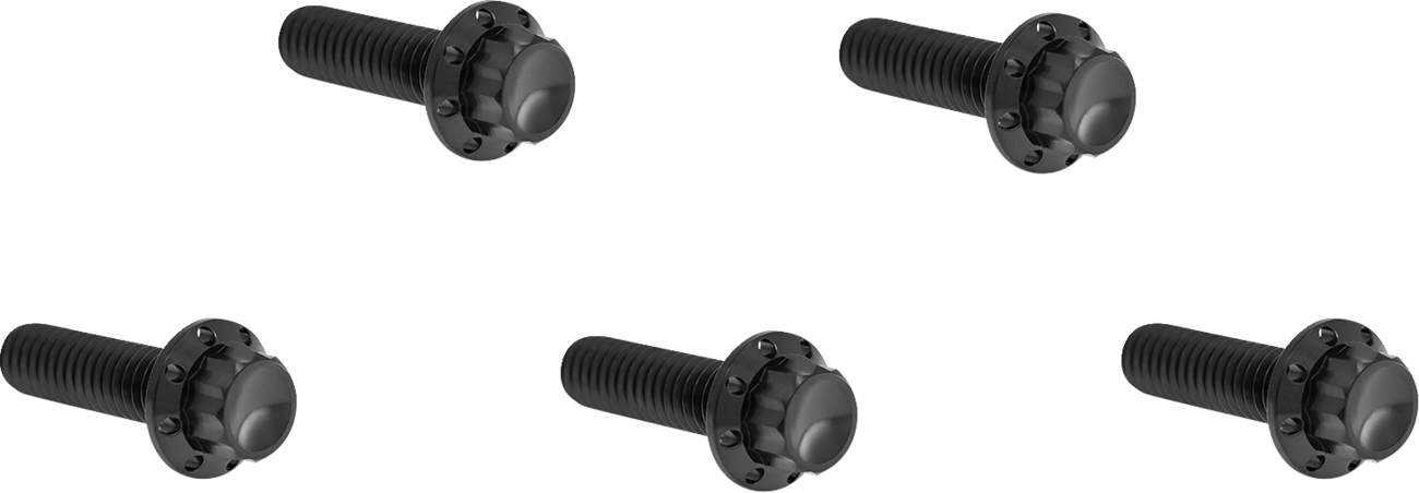 ARLEN NESS Bolt Kit - Derby Cover / 12-Point / Titanium / Black 2401-1741