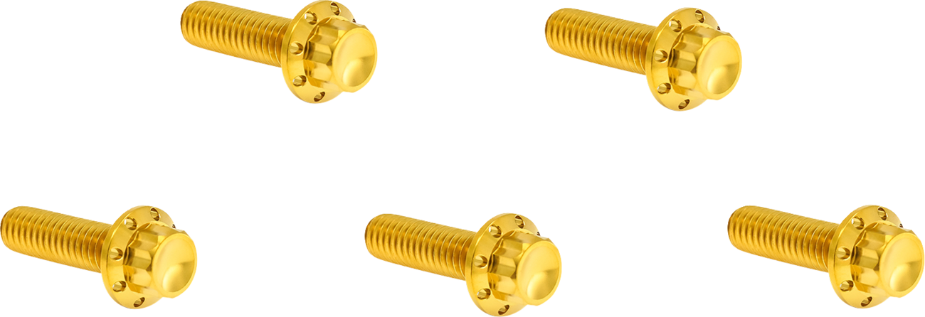 ARLEN NESS Bolt Kit - Derby Cover / 12-Point / Titanium / Gold 2401-1742