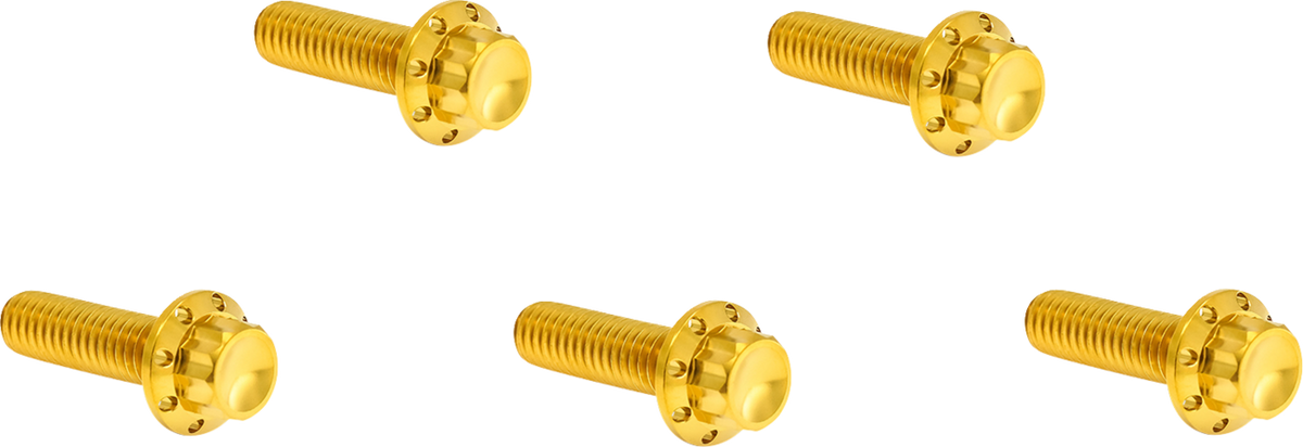 ARLEN NESS Bolt Kit - Derby Cover / 12-Point / Titanium / Gold 2401-1792