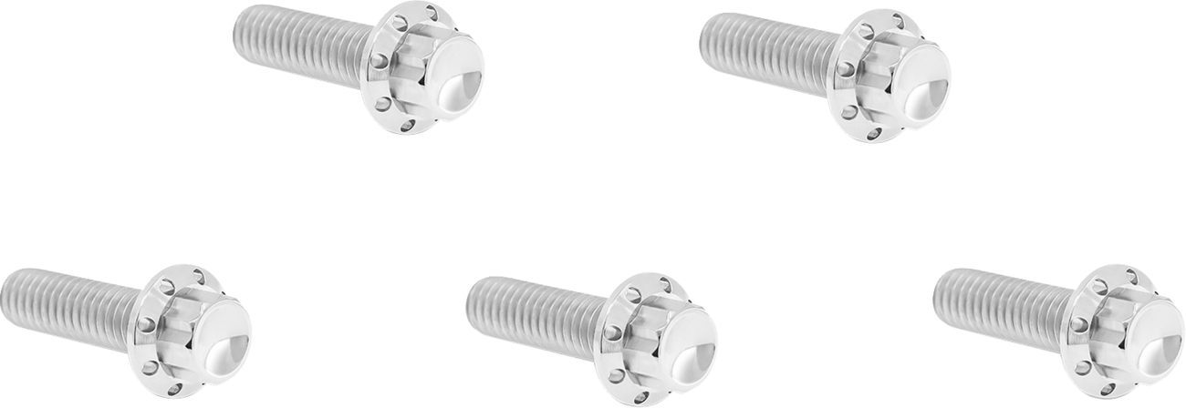 ARLEN NESS Bolt Kit - Derby Cover / 12-Point / Titanium / Polished 2401-1740