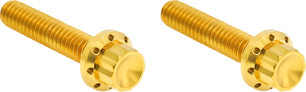 ARLEN NESS Bolt Kit - Hydraulic Clutch / Titanium / 12-Point / M8/Twin Cam / Gold 2401-1817