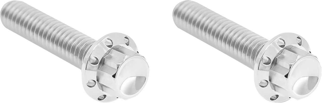 ARLEN NESS Bolt Kit - Hydraulic Clutch / Titanium / 12-Point / M8/Twin Cam / Polished 2401-1815