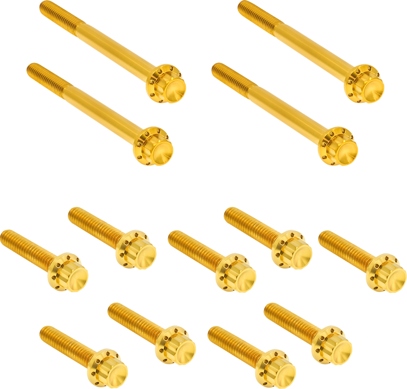 ARLEN NESS Bolt Kit - Primary Cover / Titanium / 12-Point / Softail / Gold 2401-1733
