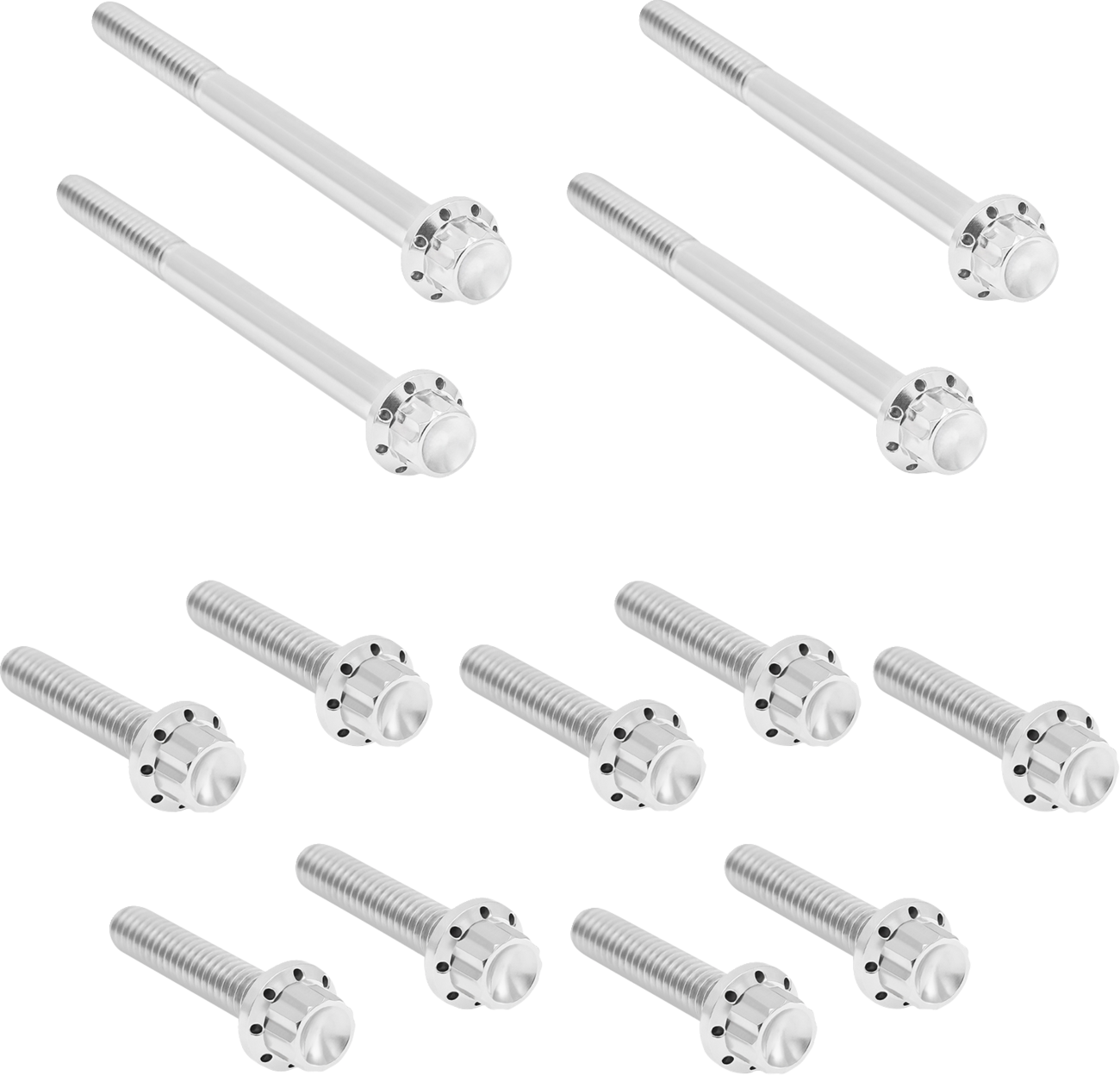 ARLEN NESS Bolt Kit - Primary Cover / Titanium / 12-Point / Softail / Polished 2401-1731