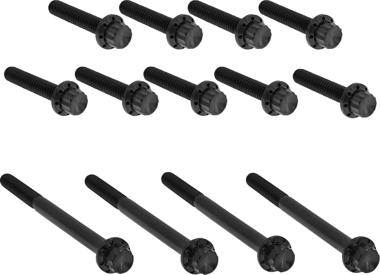 ARLEN NESS Bolt Kit - Primary Cover / Titanium / 12-Point / Twin Cam / Black 2401-1768