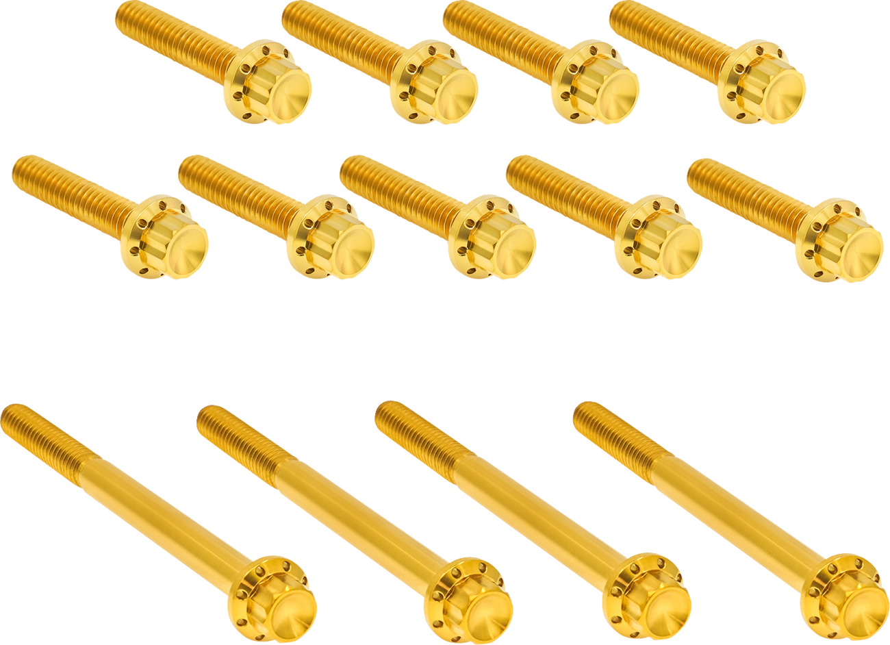 ARLEN NESS Bolt Kit - Primary Cover / Titanium / 12-Point / Twin Cam / Gold 2401-1769