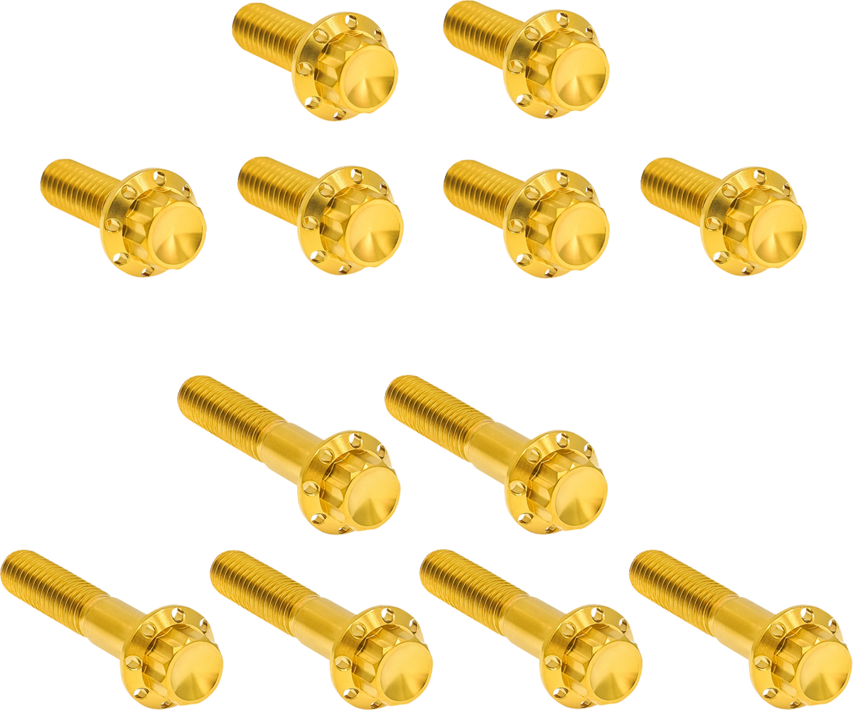 ARLEN NESS Bolt Kit - Rocker Box / 12-Point / Titanium / Gold 2401-1772