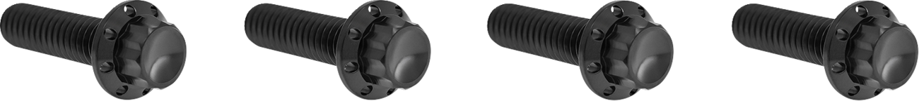 ARLEN NESS Bolt Kit - Transmission Top Cover / 12-Point / Titanium / Black 2401-1773