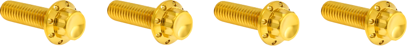 ARLEN NESS Bolt Kit - Transmission Top Cover / 12-Point / Titanium / Gold 2401-1757