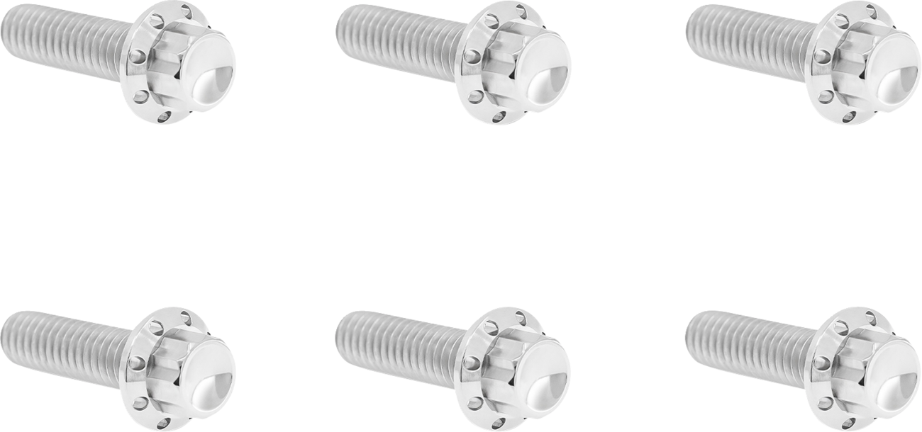 ARLEN NESS Bolt Kit - Transmission Top Cover / 12-Point / Titanium / Polished 2401-1746
