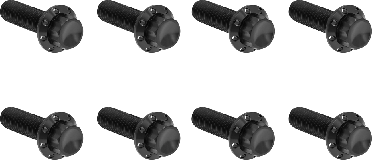 ARLEN NESS Bolt Kit - Trap Door / Titanium / 12-Point / M8 / Black 2401-1819