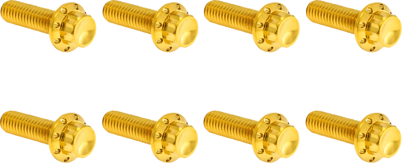 ARLEN NESS Bolt Kit - Trap Door / Titanium / 12-Point / M8 / Gold 2401-1820
