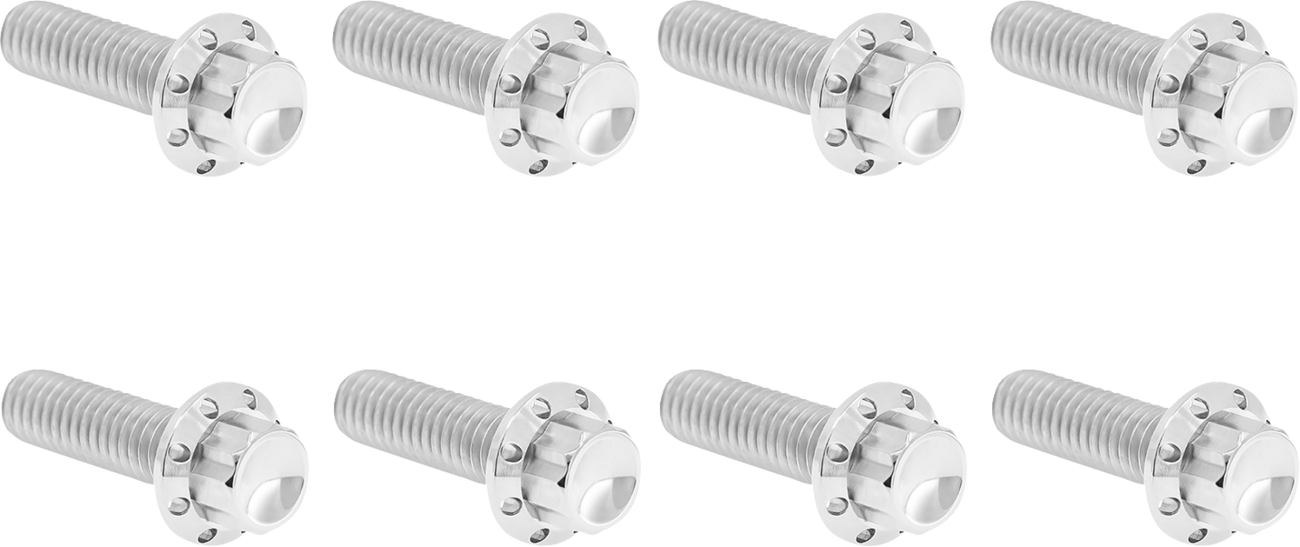 ARLEN NESS Bolt Kit - Trap Door / Titanium / 12-Point / M8 / Polished 2401-1818