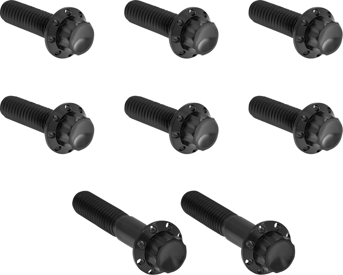 ARLEN NESS Bolt Kit - Trap Door / Titanium / 12-Point / Twin Cam/6-Speed / Black 2401-1822