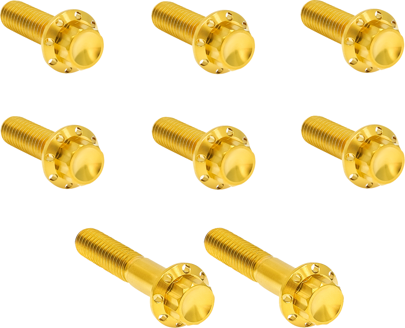 ARLEN NESS Bolt Kit - Trap Door / Titanium / 12-Point / Twin Cam/6-Speed / Gold 2401-1823