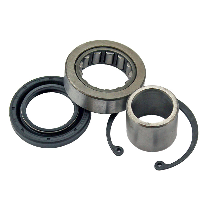 All Balls Racing 2012-2016 Harley-Davidson FLD Dyna Switchback Inner Primary Bearing & Seal Kt OEM style - 25-3103
