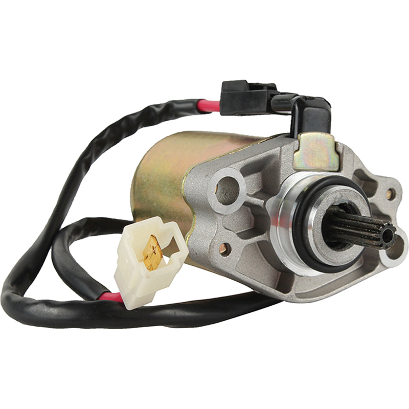 Arrowhead Mitsuba 12V 10T Str. - 410-54236