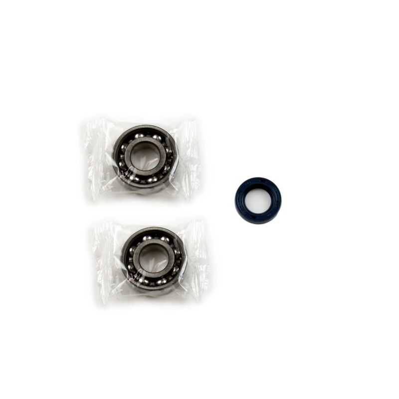 Athena 1973-1981 Piaggio 50 Crankshaft Bearing & Oil Seal Rebuilding Kit - P400480444002