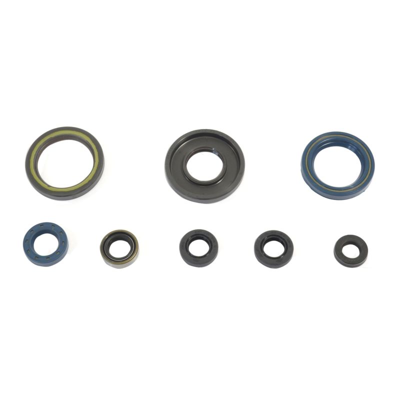 Athena 1984-1989 KTM 250 GS-MX Engine Oil Seal Kit - P400270400033