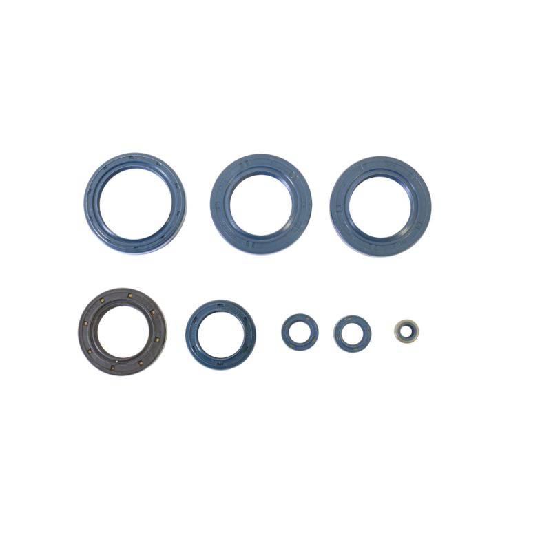 Athena 1985-1990 Aprilia ETX 350 Engine Oil Seal Kit - P400010400020