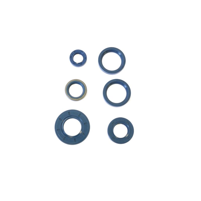 Athena 1987-1990 Cagiva Bifaro 750 Engine Oil Seal Kit - P400090400240