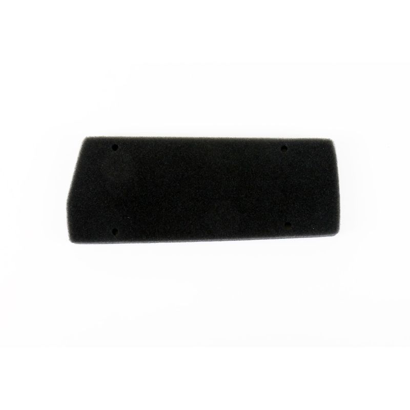 Athena 1993-2005 Aprilia 50 Air Filter - S410010200001