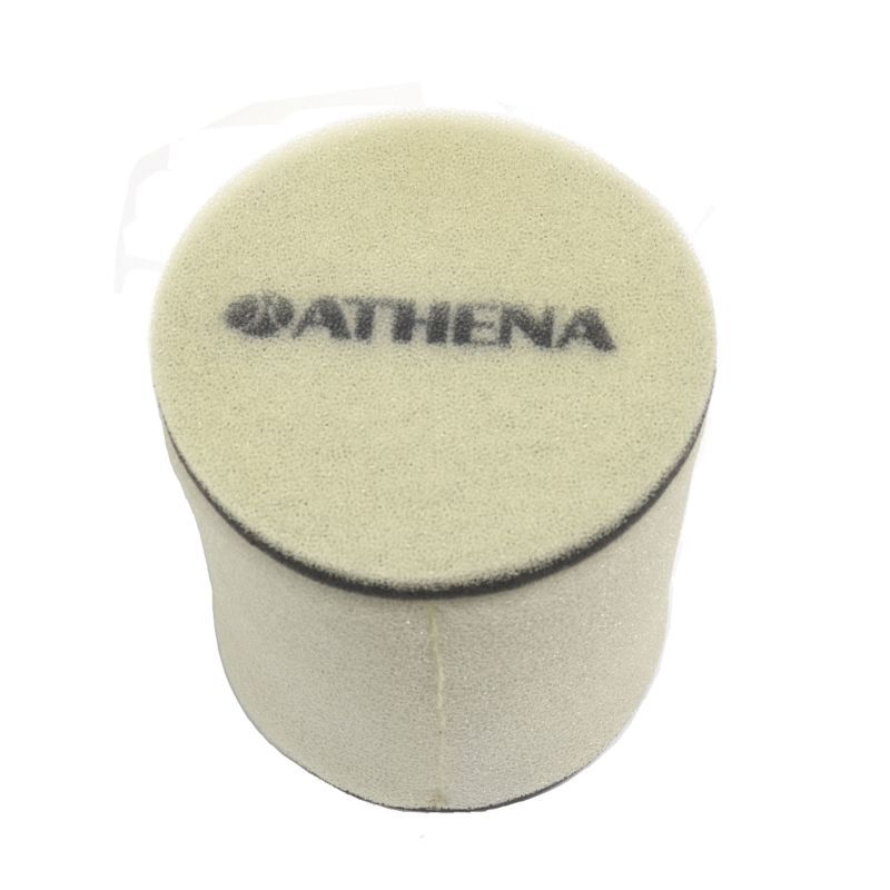 Athena 1993-2010 Honda EX 300 Air Filter - S410210200036