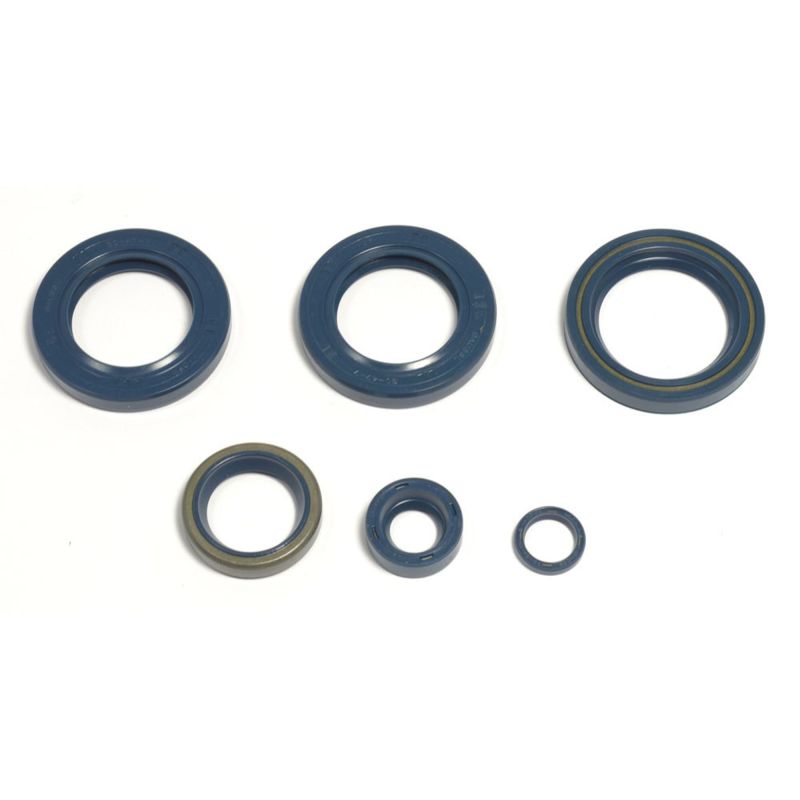 Athena 1998-2002 KTM LC4-E 400 Engine Oil Seal Kit - P400270400051